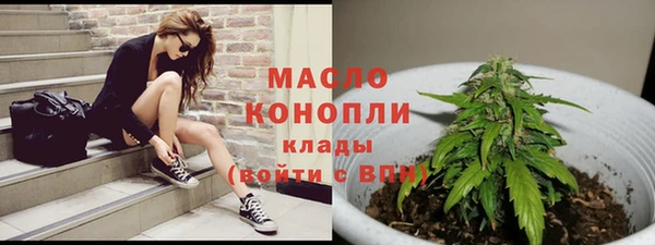 прущие грибы Лабытнанги