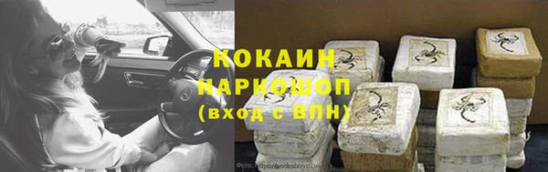 прущие грибы Лабытнанги
