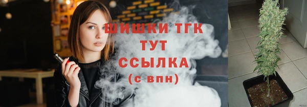 прущие грибы Лабытнанги