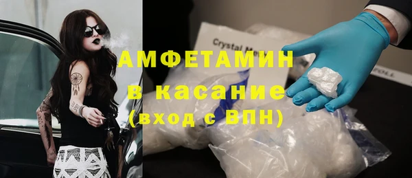 прущие грибы Лабытнанги