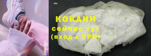 дурь Лагань