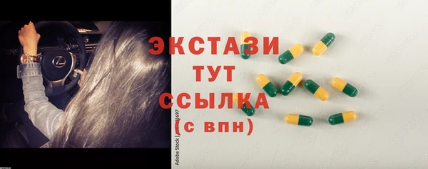 прущие грибы Лабытнанги