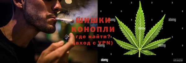 сатива Ладушкин