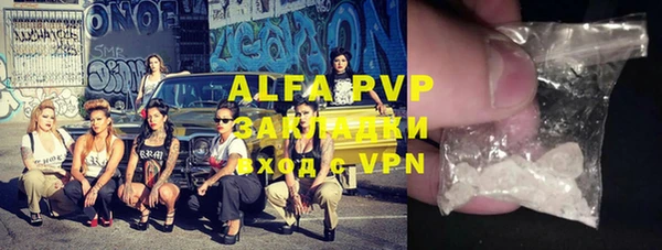 прущие грибы Лабытнанги