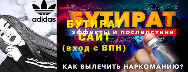 прущие грибы Лабытнанги
