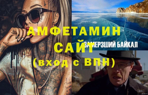 прущие грибы Лабытнанги