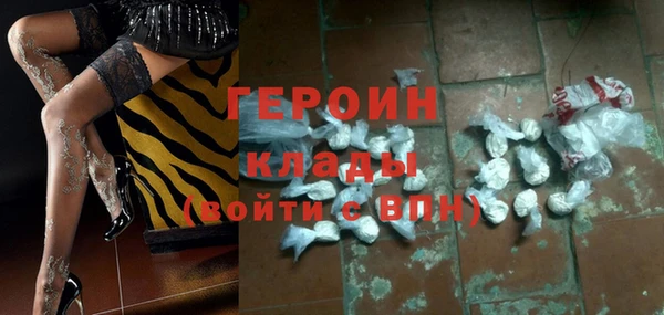 прущие грибы Лабытнанги