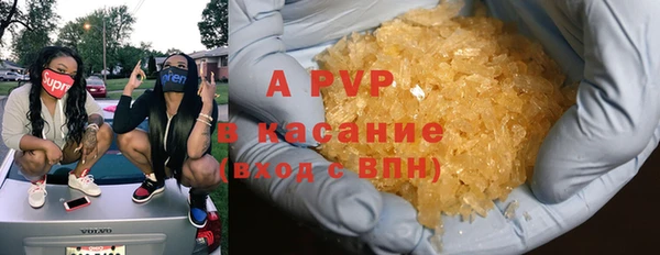 прущие грибы Лабытнанги