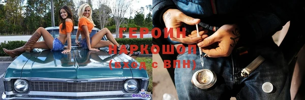 прущие грибы Лабытнанги