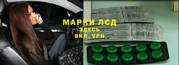 прущие грибы Лабытнанги