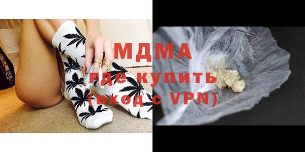 прущие грибы Лабытнанги